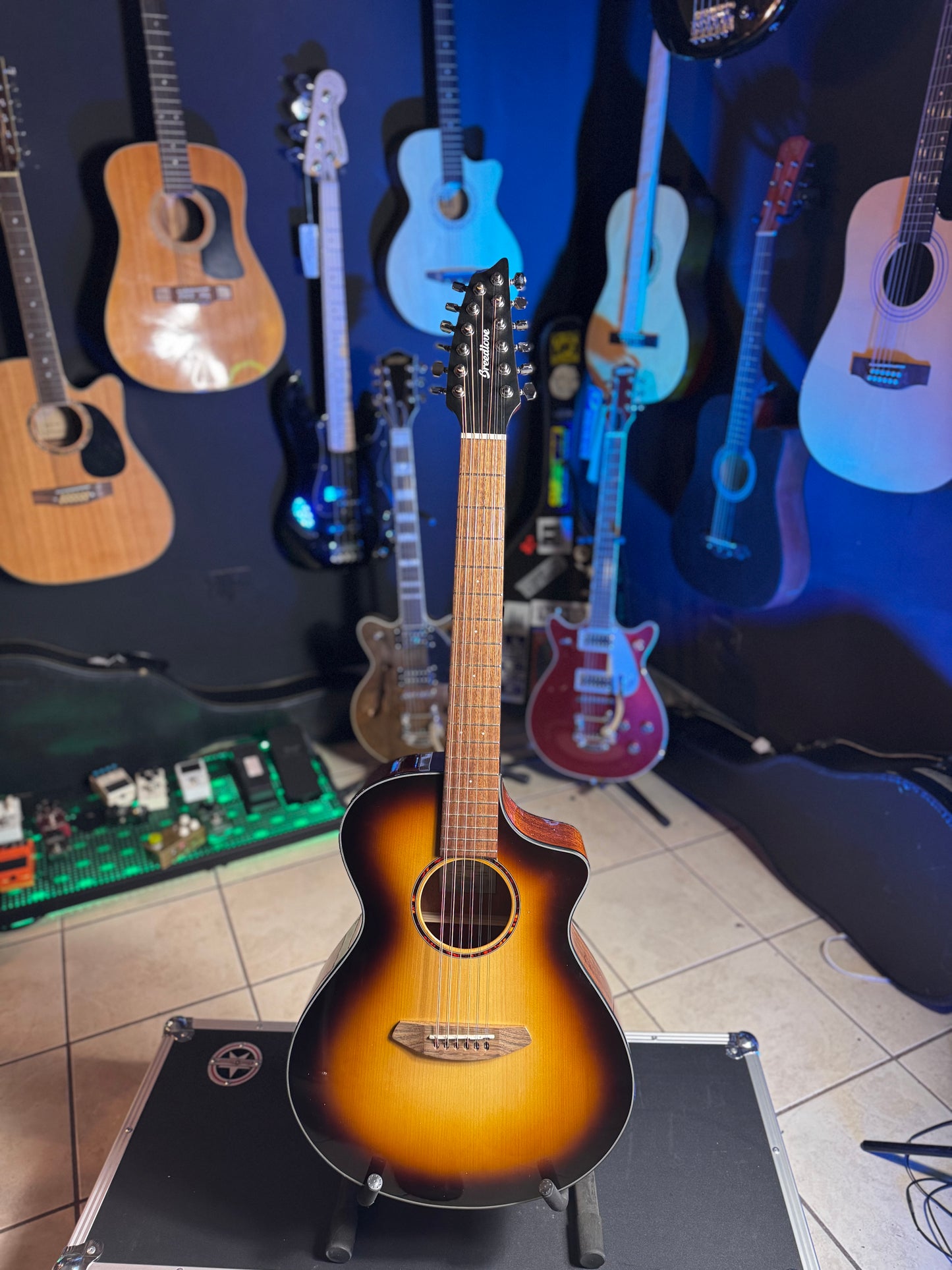 Guitarra Acústica de 12 Cuerdas Breedlove Paradise Sunburst
