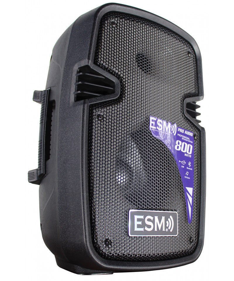 Columna Amplificada Portátil ESM 8'' LED Recargable USB Bluetooth Micrófono