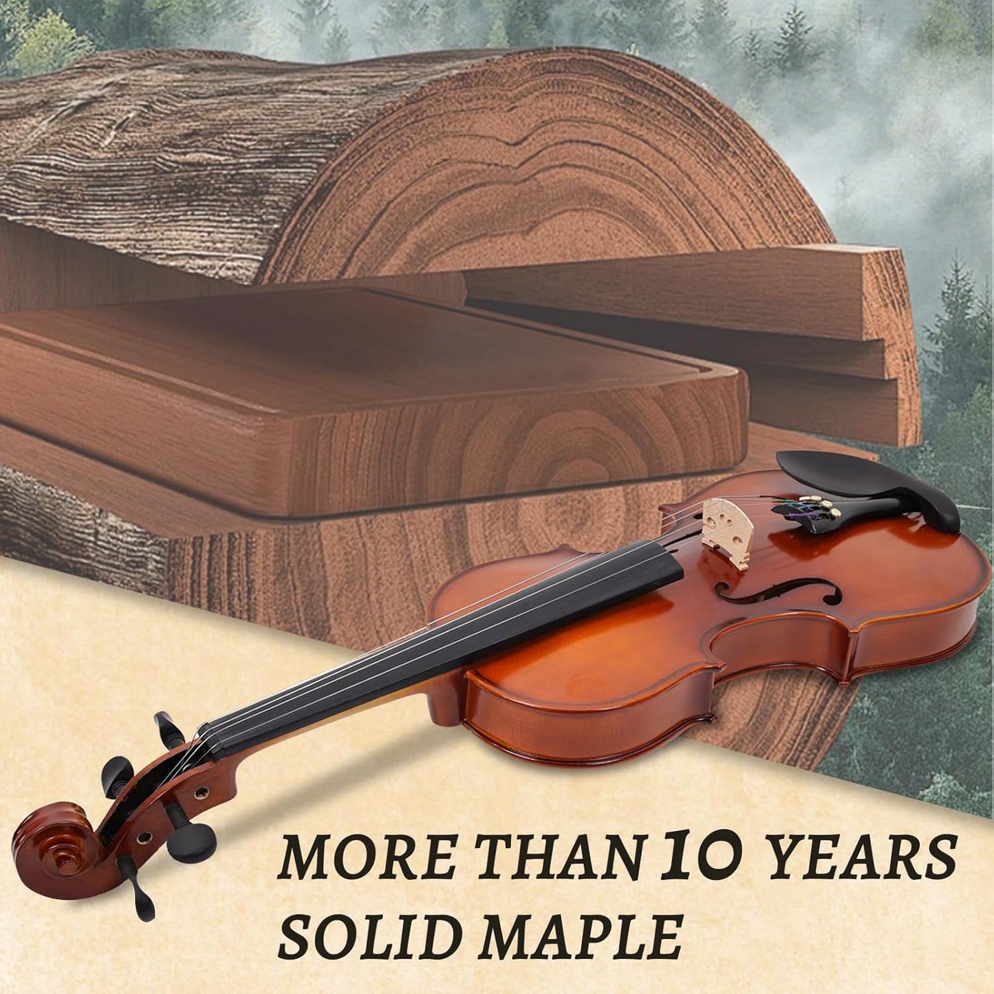 Violín Eléctrico/Acústico INEFFA Ébano Profesional. Kit Completo Escenario y Práctica.