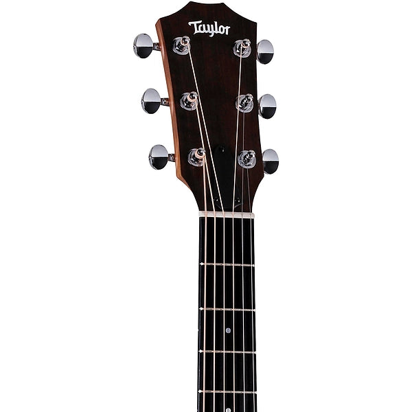 Guitarra Electroacústica Taylor 24ce Grand Auditorium Natural Versátil